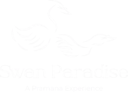 Swan Paradise A Pramana Experience