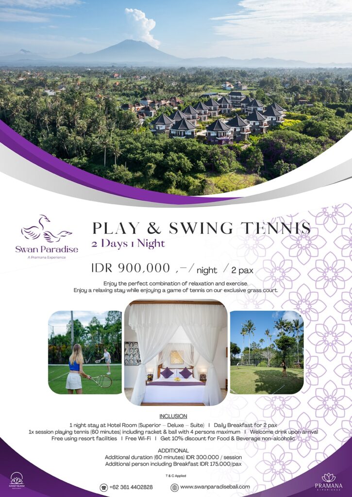 Play & Swing Tennis
